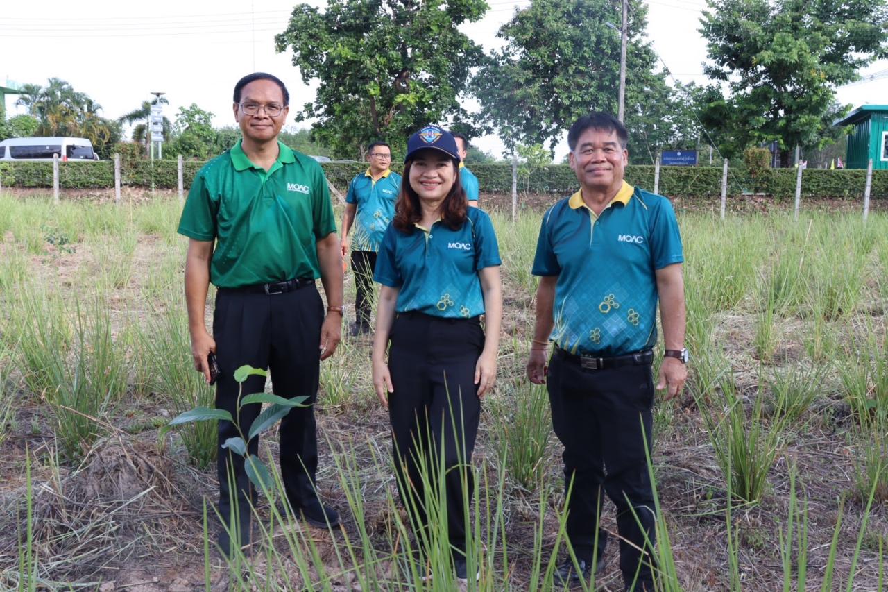 ภาพประกอบที่ 4