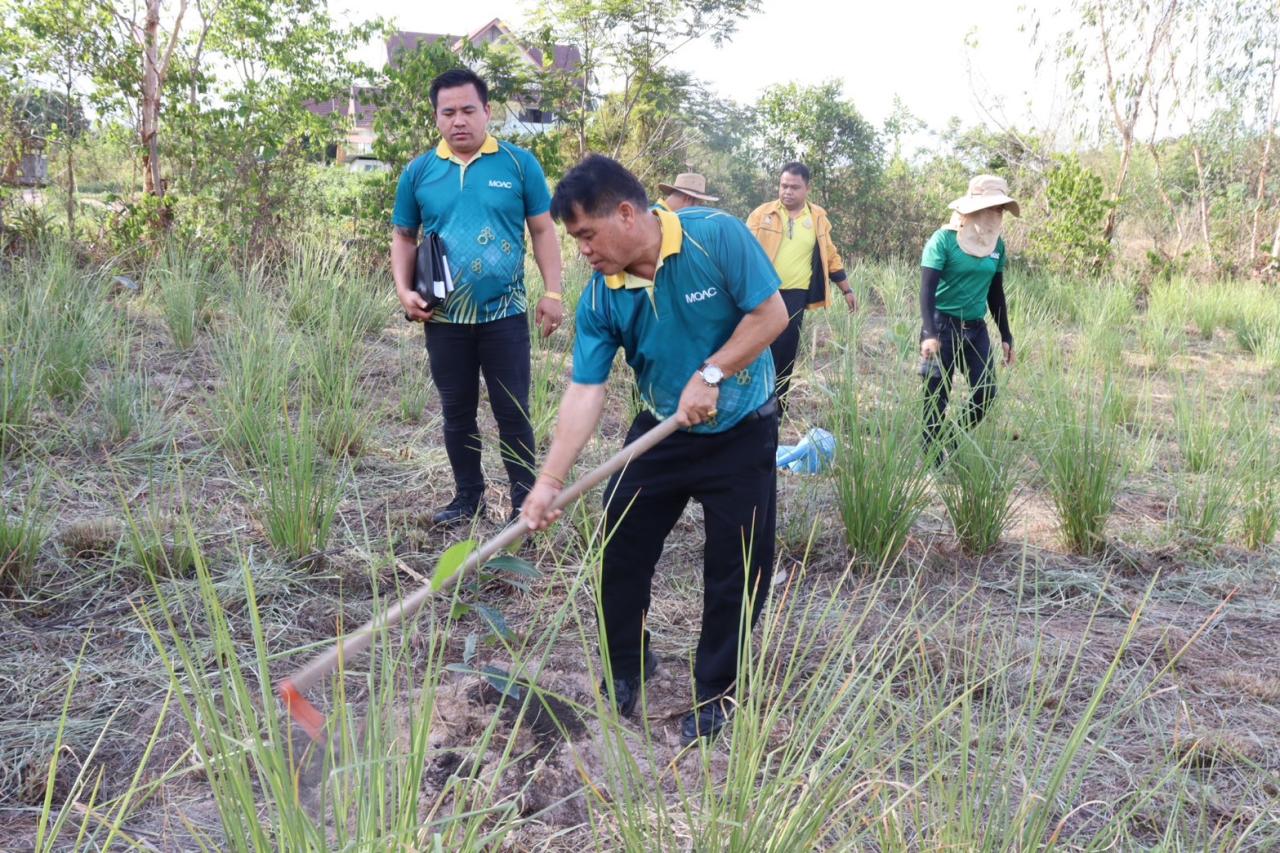 ภาพประกอบที่ 9