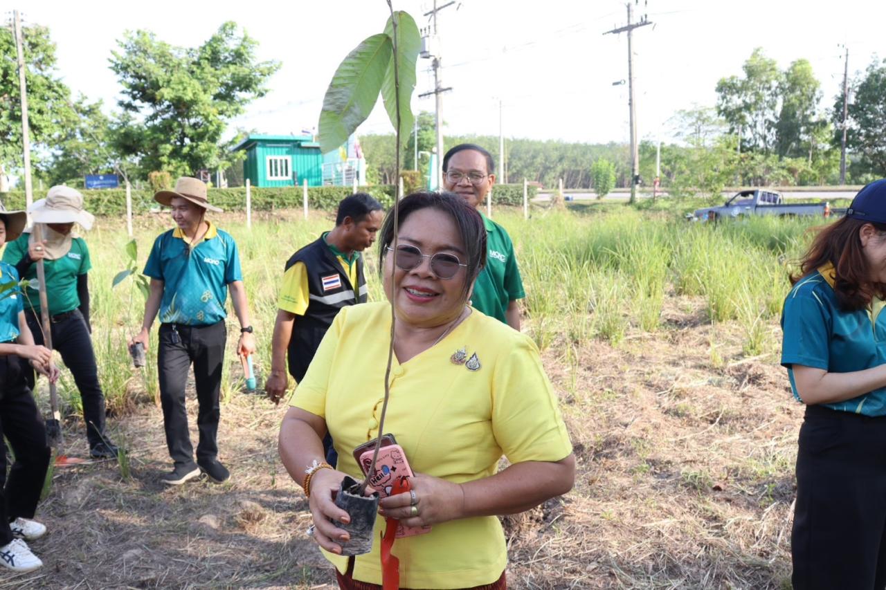 ภาพประกอบที่ 10