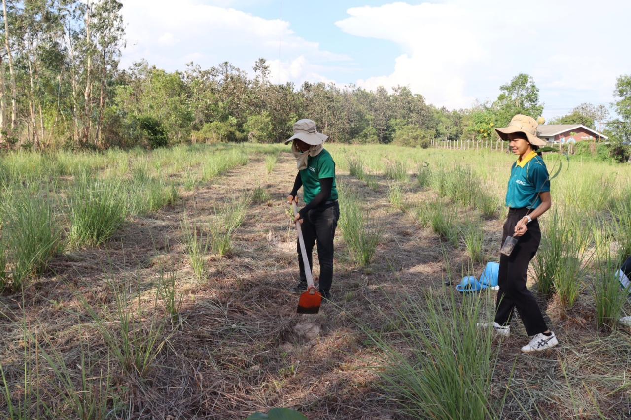 ภาพประกอบที่ 11