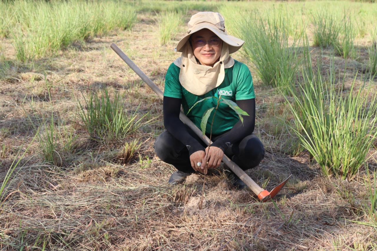 ภาพประกอบที่ 12
