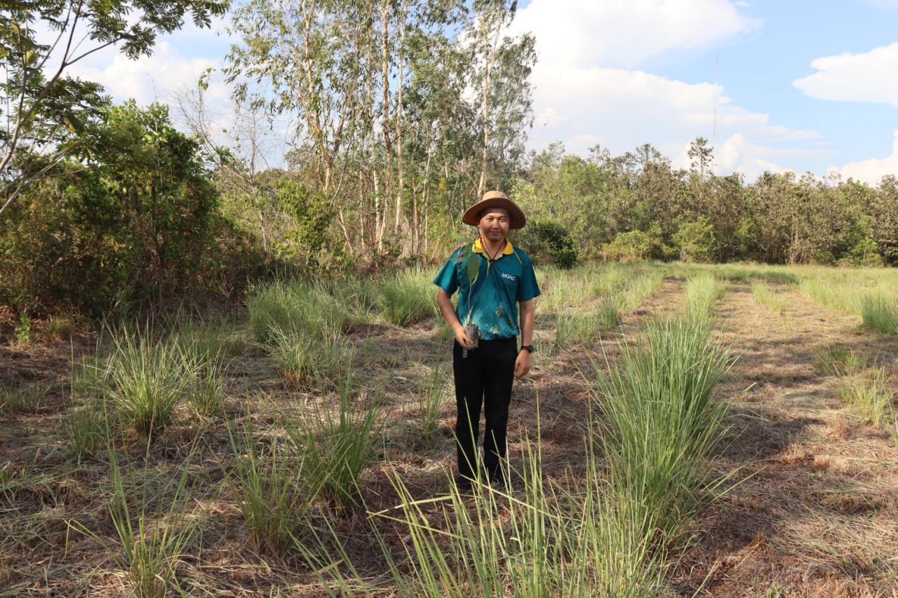 ภาพประกอบที่ 13