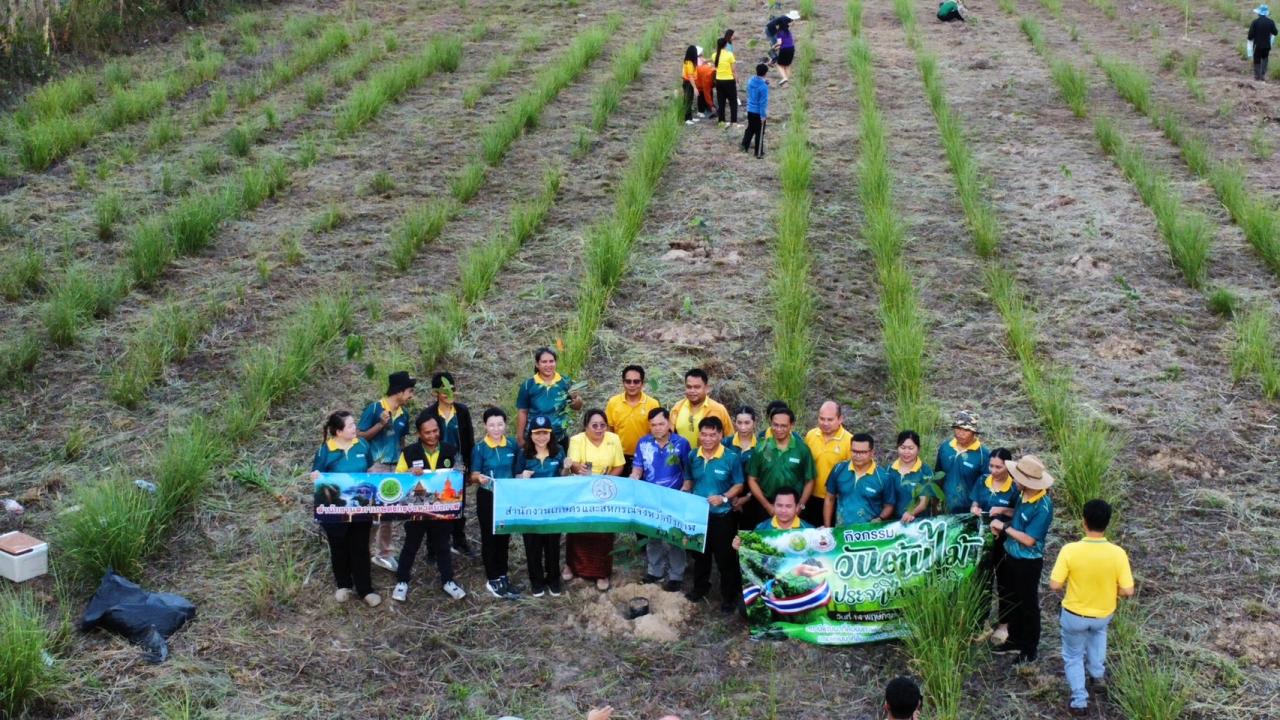 ภาพประกอบที่ 17