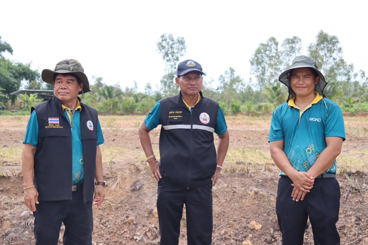 ภาพประกอบที่ 12