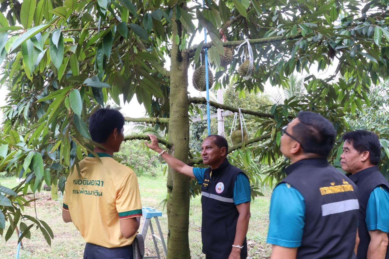 ภาพประกอบที่ 19