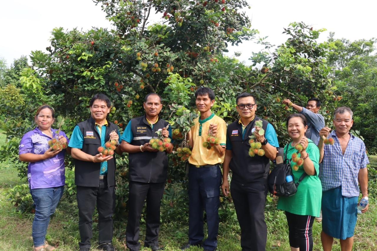 ภาพประกอบที่ 21