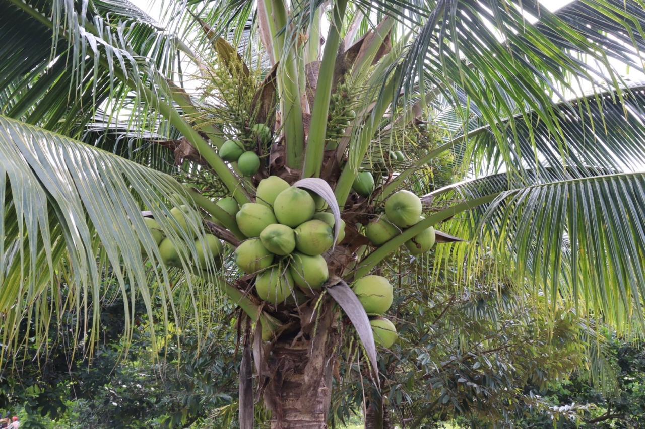 ภาพประกอบที่ 22