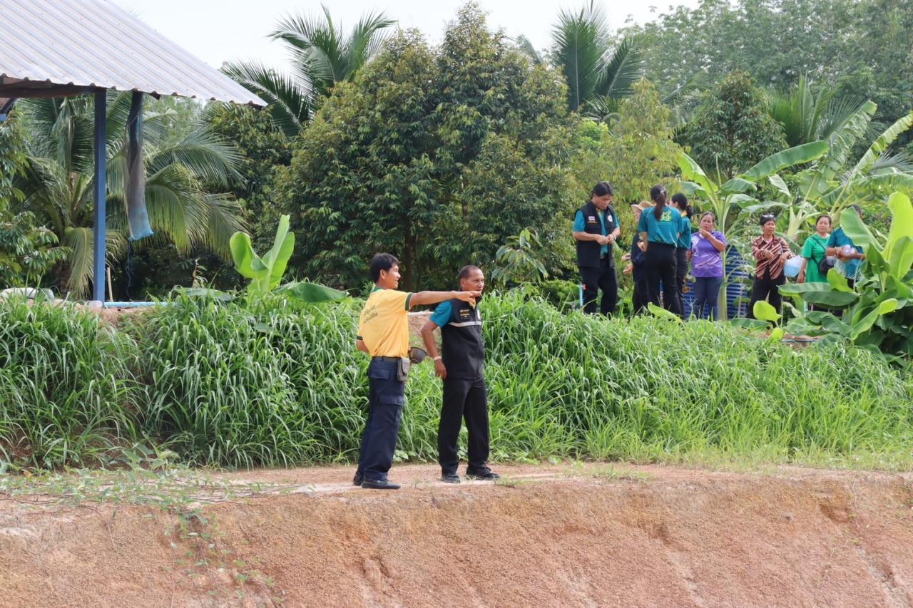 ภาพประกอบที่ 24