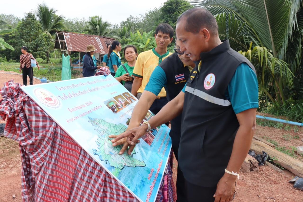 ภาพประกอบที่ 25