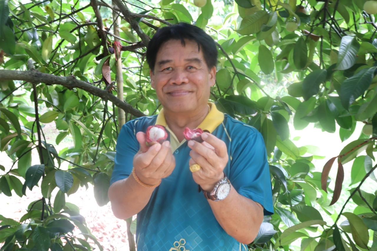 ภาพประกอบที่ 31