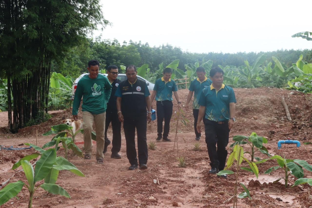 ภาพประกอบที่ 34