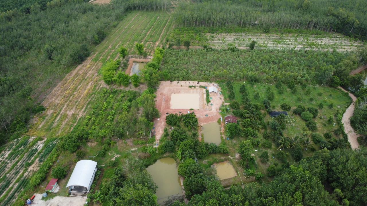 ภาพประกอบที่ 43