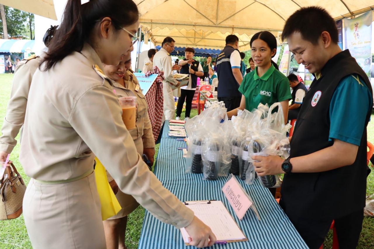 ภาพประกอบที่ 12