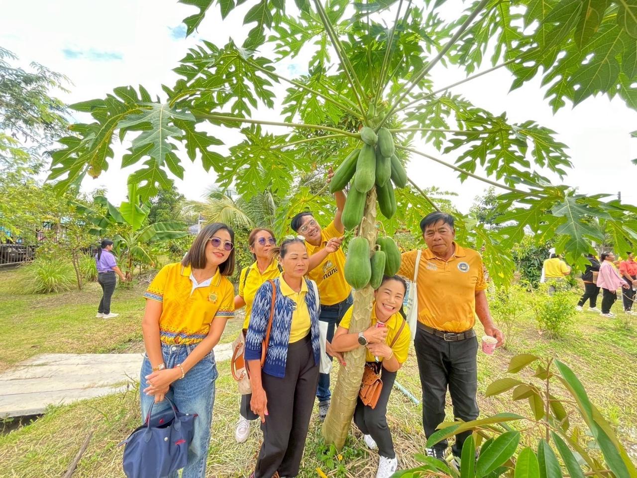 ภาพประกอบที่ 2