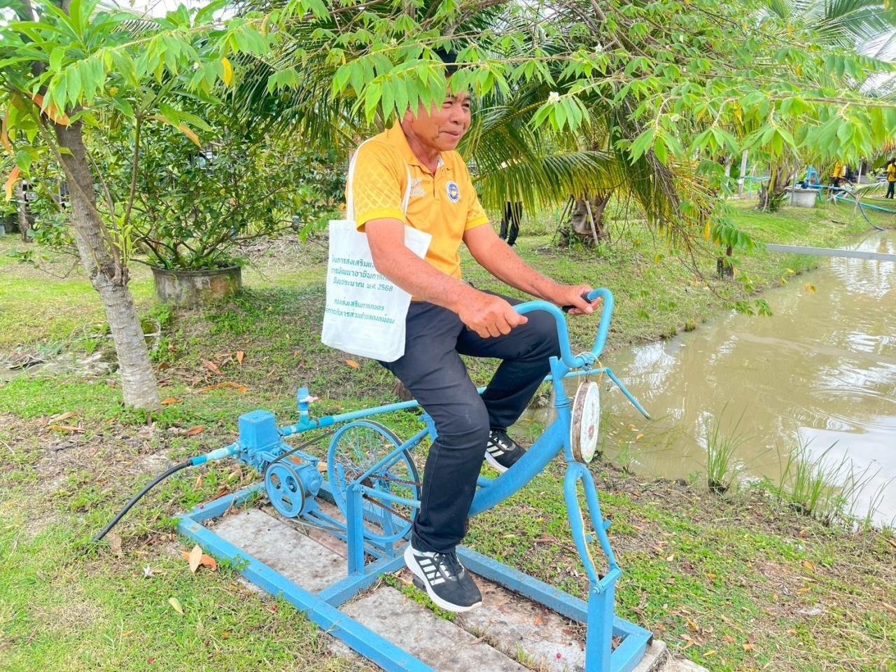 ภาพประกอบที่ 3