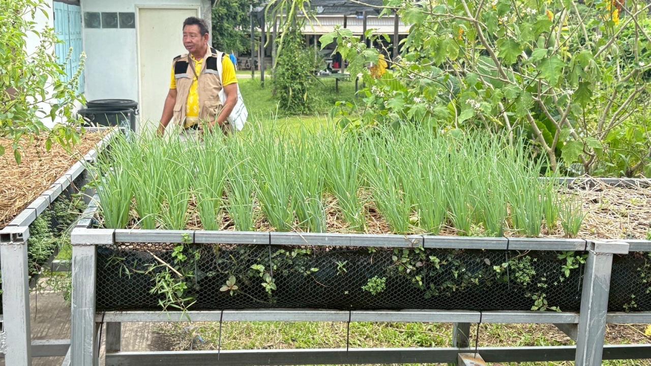 ภาพประกอบที่ 5