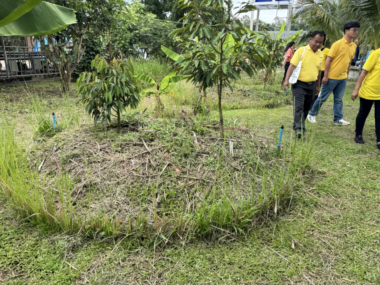 ภาพประกอบที่ 9