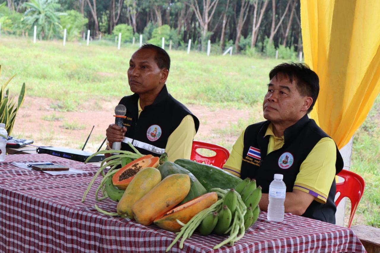 ภาพประกอบที่ 0