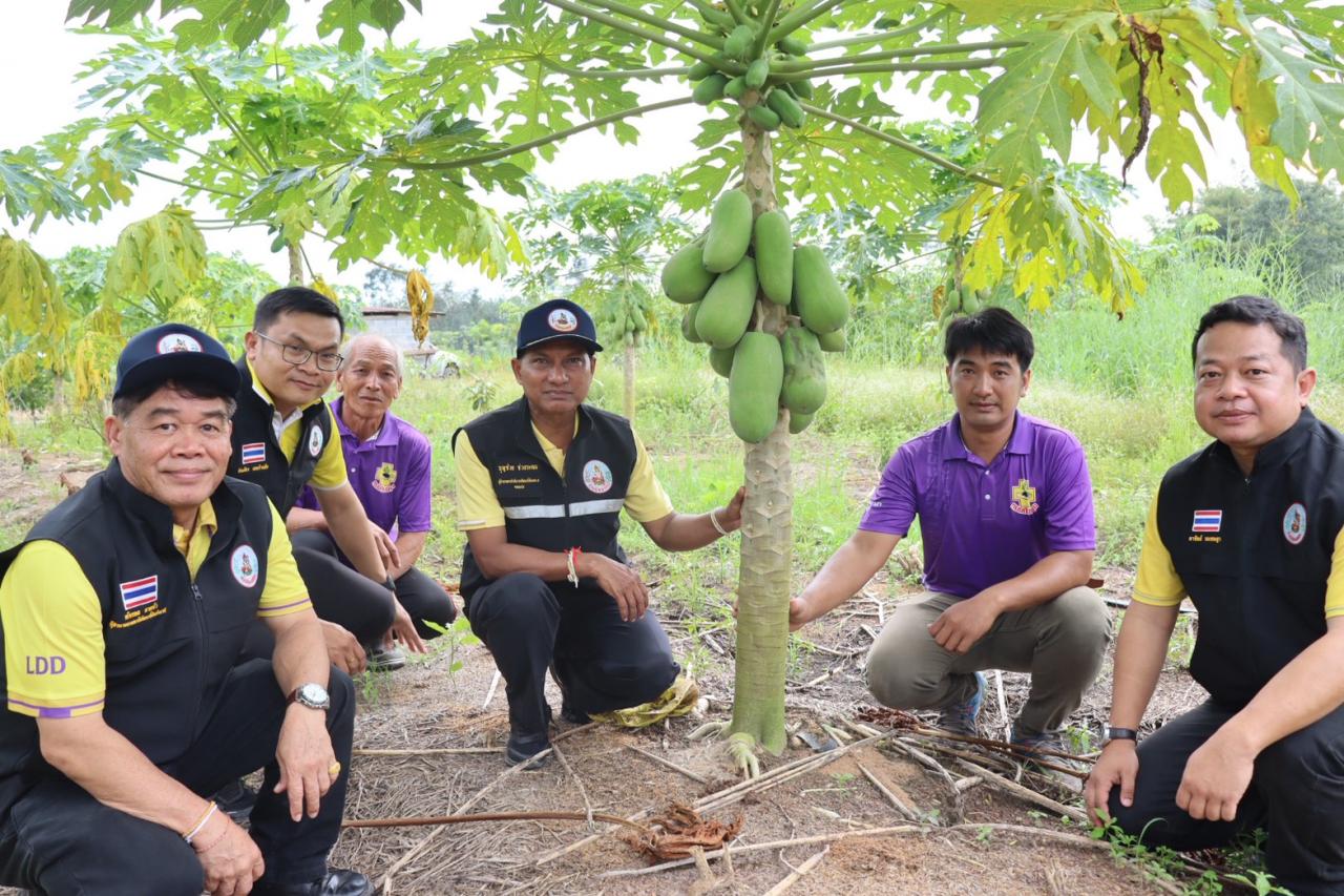 ภาพประกอบที่ 7