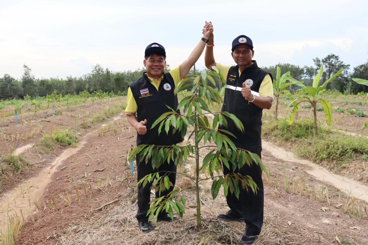 ภาพประกอบที่ 8