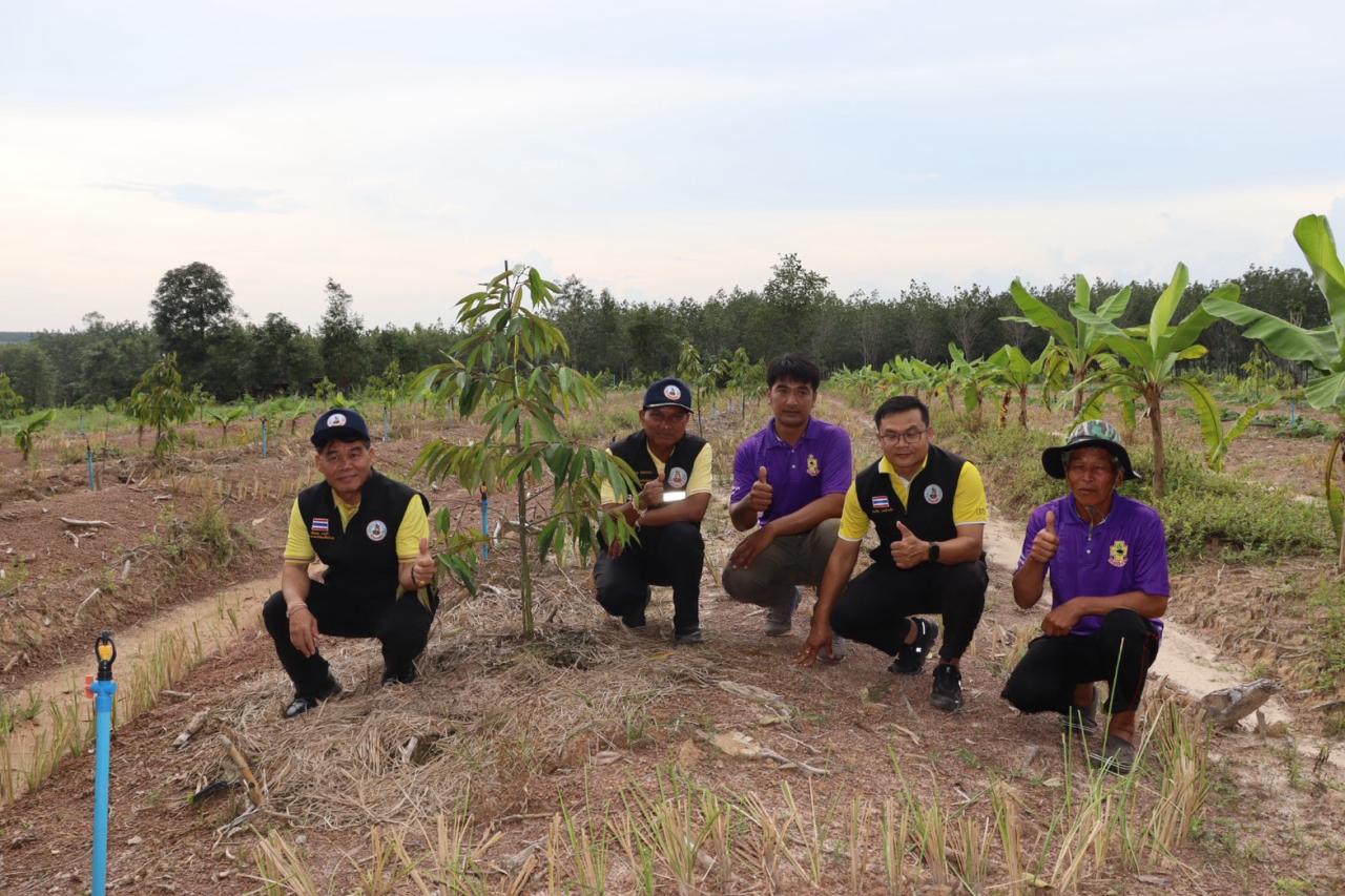 ภาพประกอบที่ 9