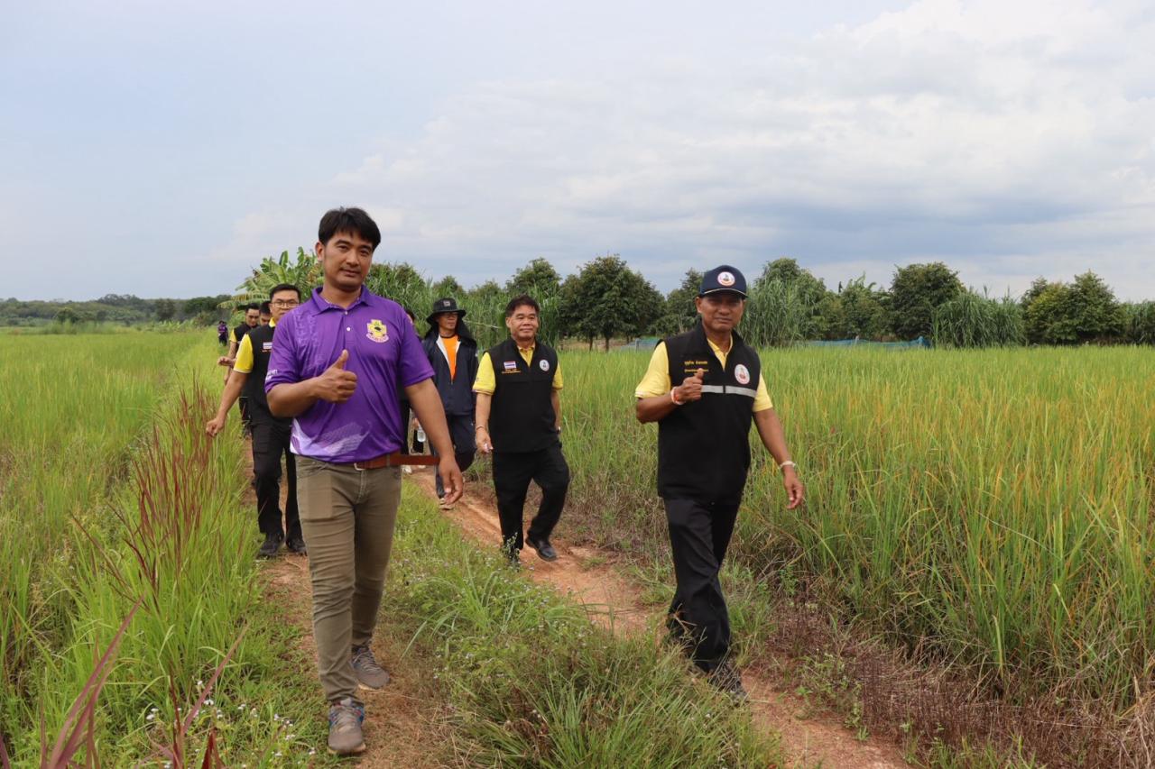ภาพประกอบที่ 11