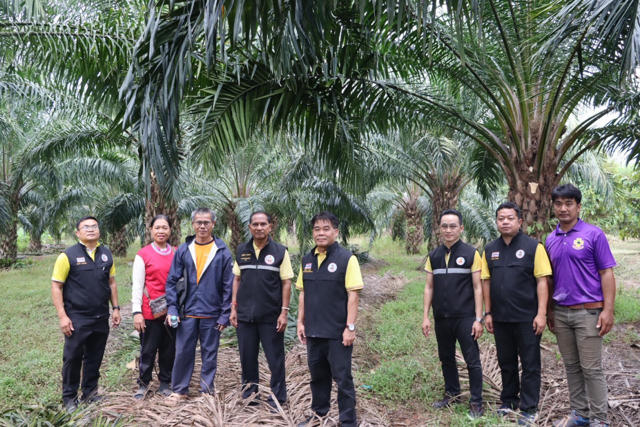 ภาพประกอบที่ 12