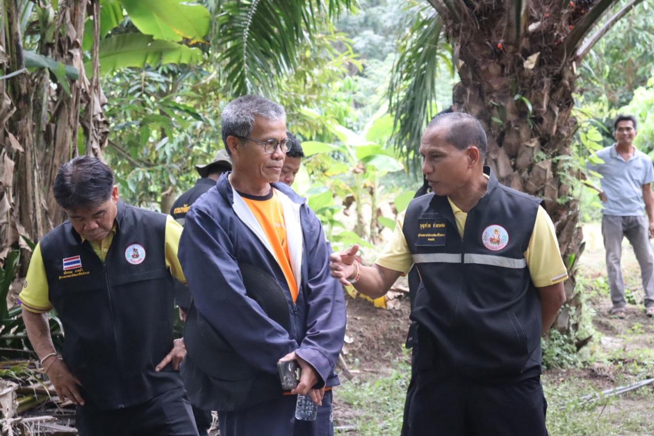 ภาพประกอบที่ 13