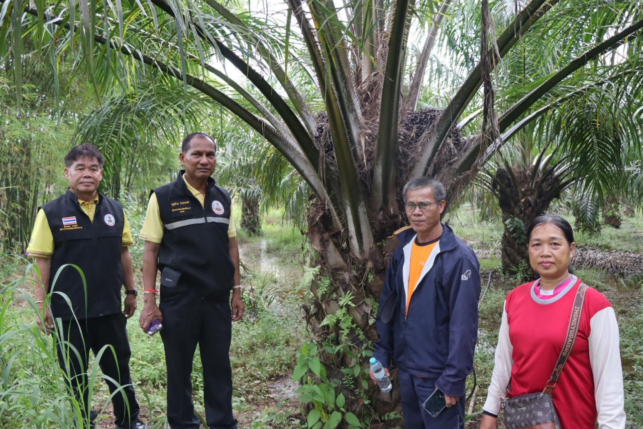 ภาพประกอบที่ 15