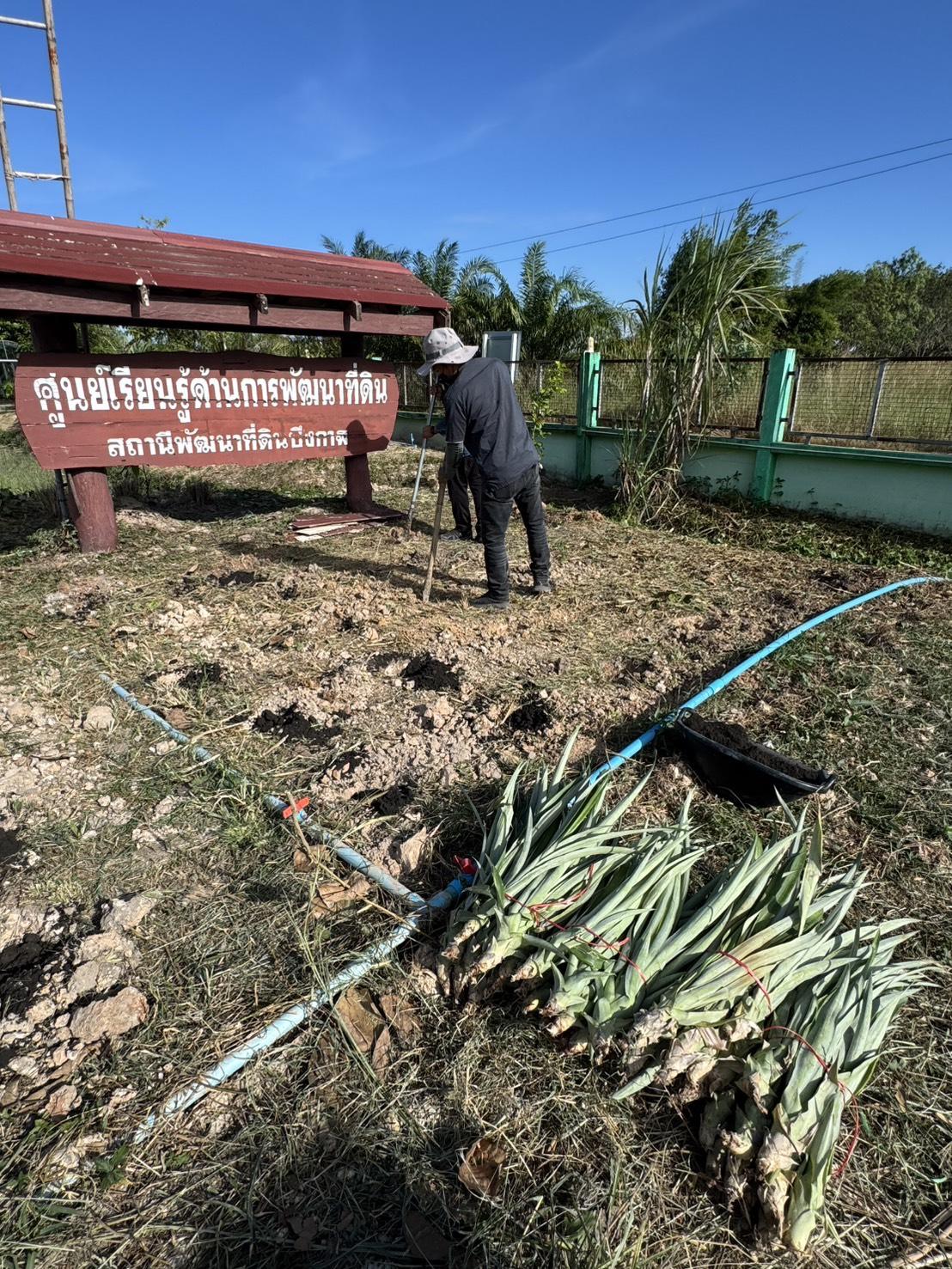 ภาพประกอบที่ 8