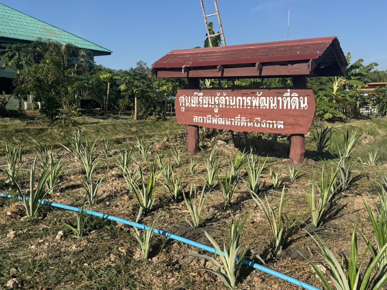 ภาพประกอบที่ 10