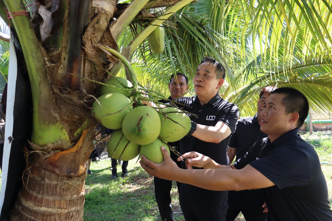 ภาพประกอบที่ 9