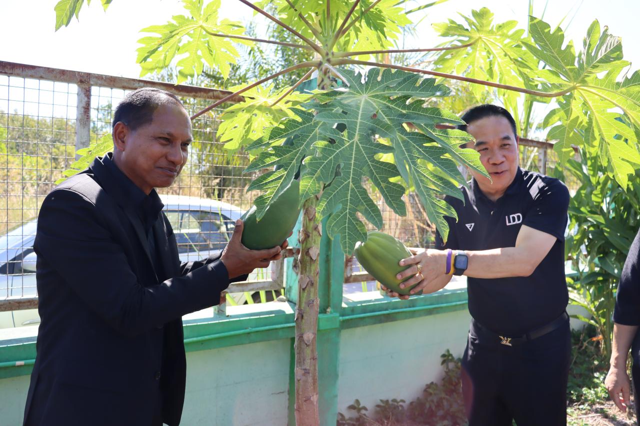 ภาพประกอบที่ 8