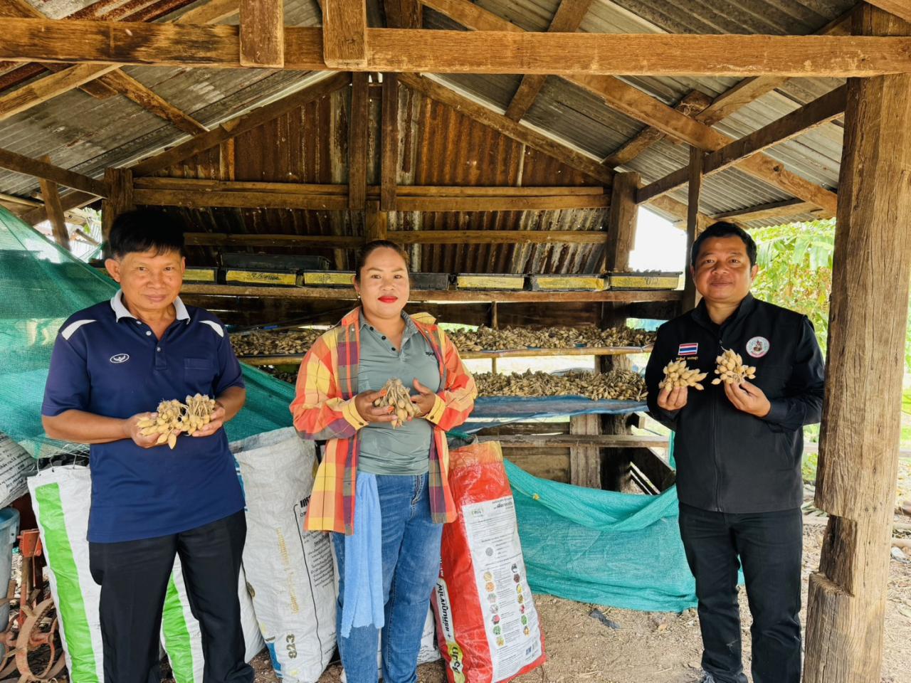 ภาพประกอบที่ 1