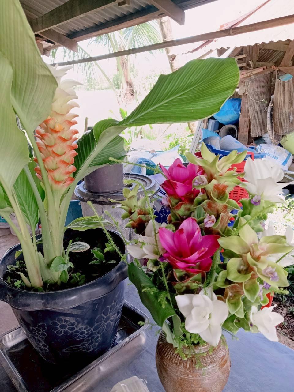 ภาพประกอบที่ 7