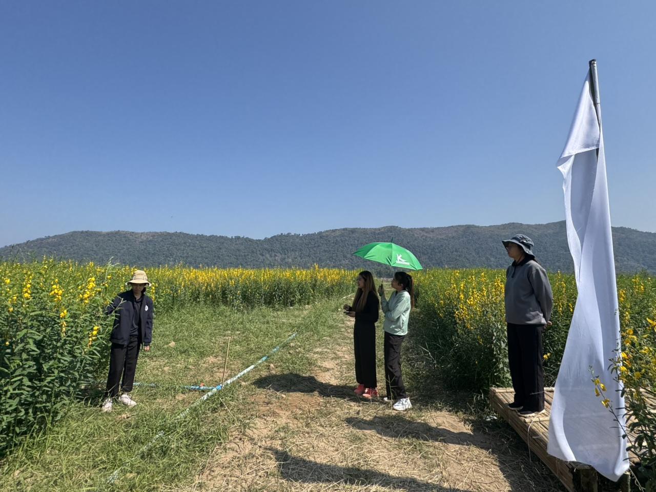 ภาพประกอบที่ 3