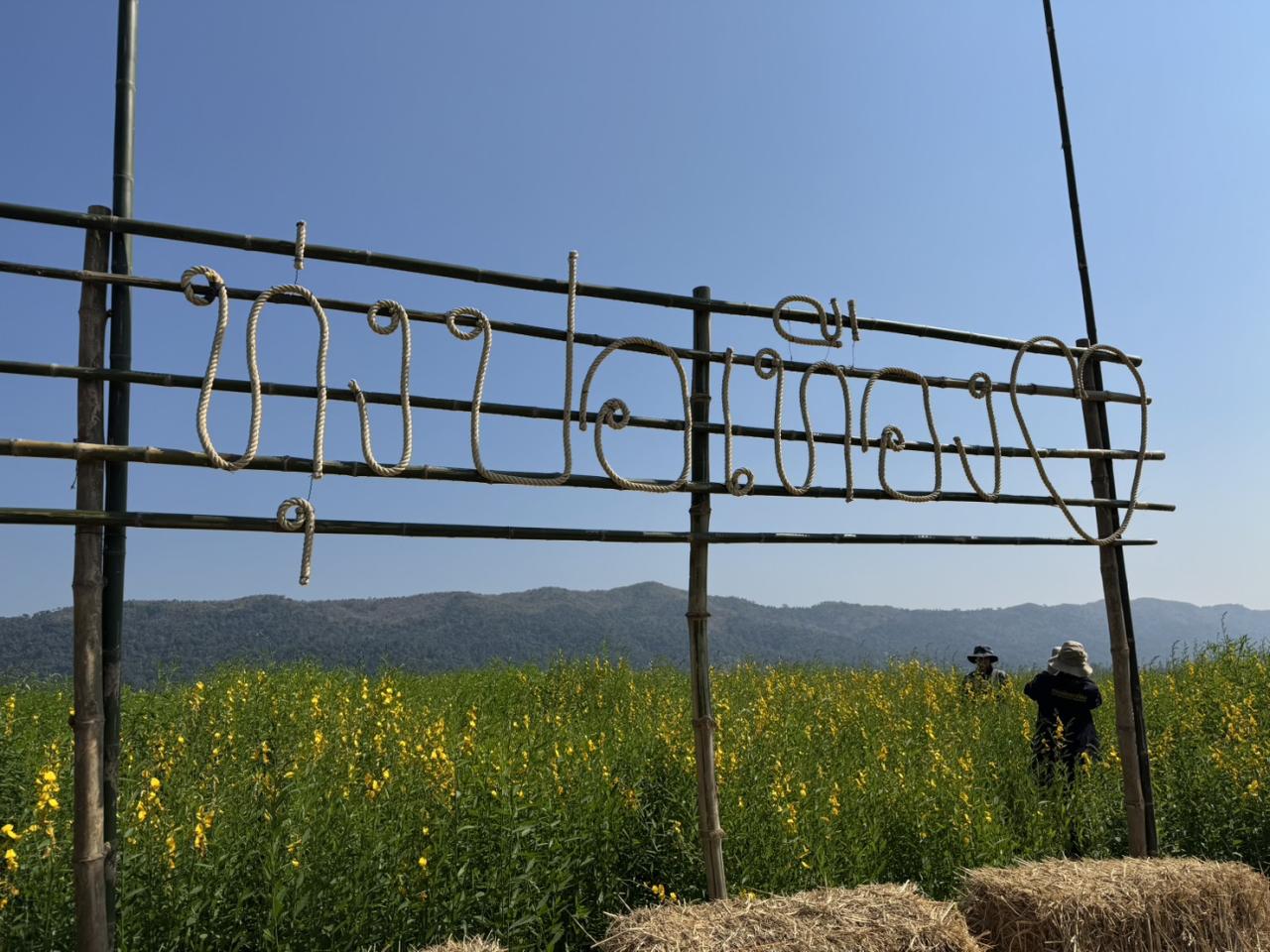 ภาพประกอบที่ 4