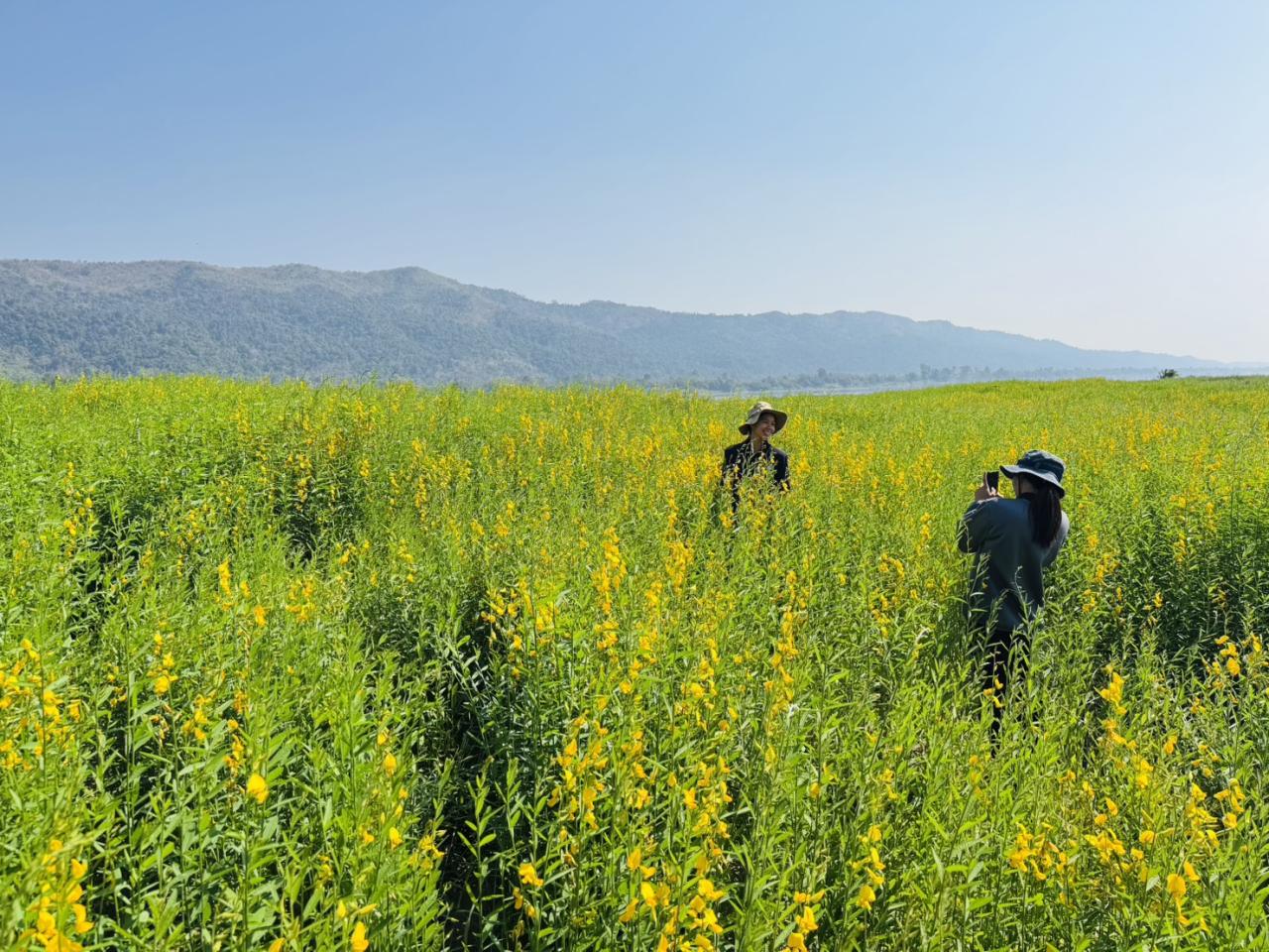 ภาพประกอบที่ 5