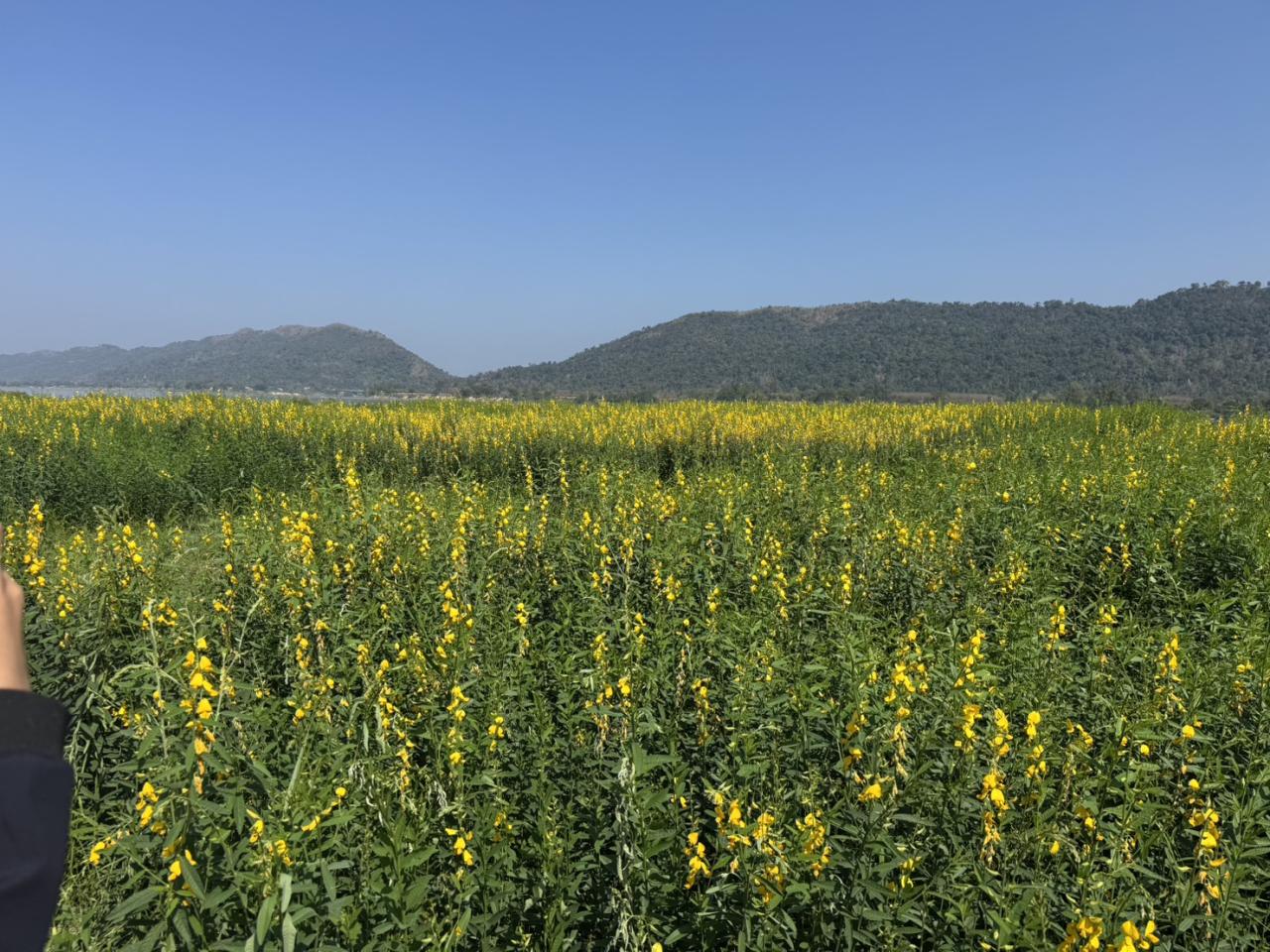 ภาพประกอบที่ 6