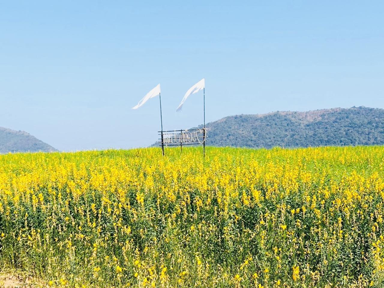 ภาพประกอบที่ 7