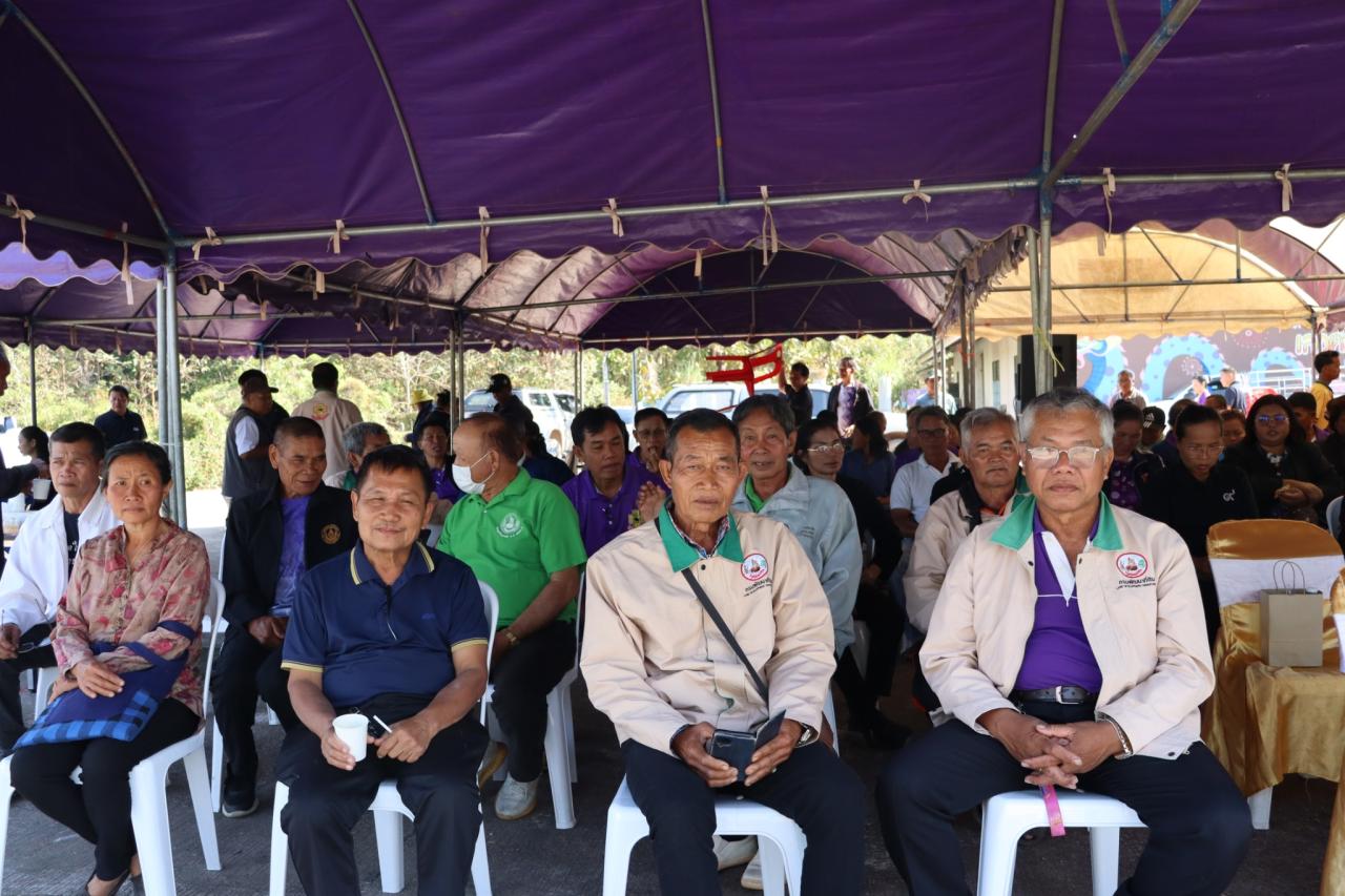 ภาพประกอบที่ 12