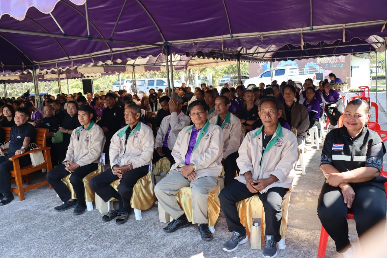 ภาพประกอบที่ 13