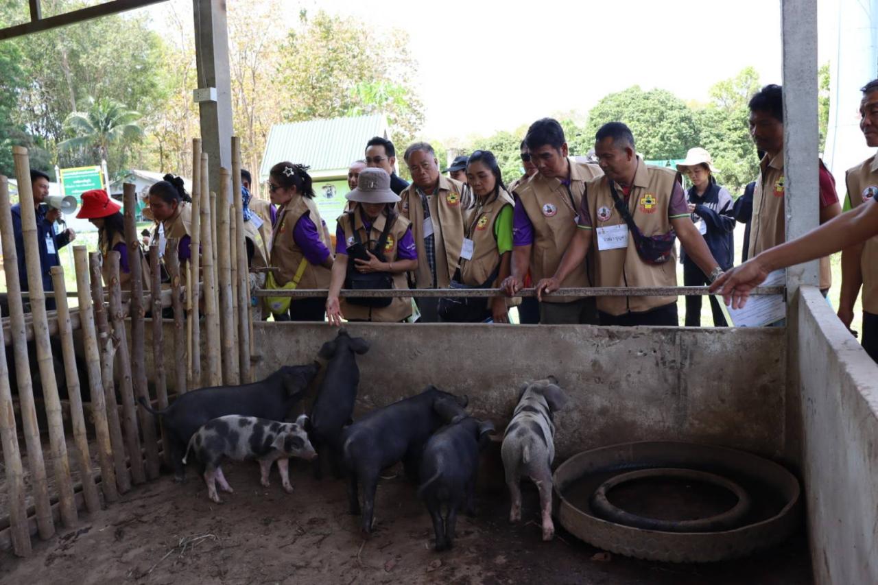 ภาพประกอบที่ 8