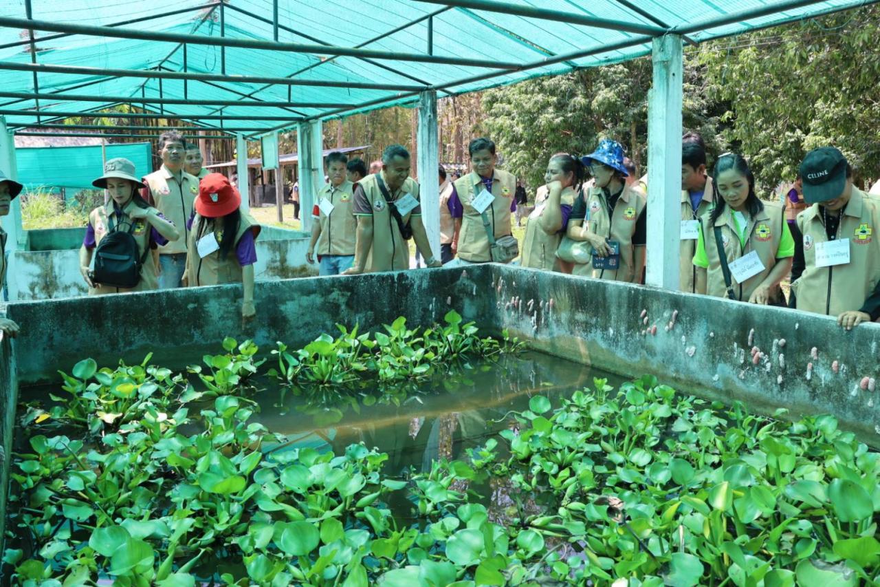 ภาพประกอบที่ 10