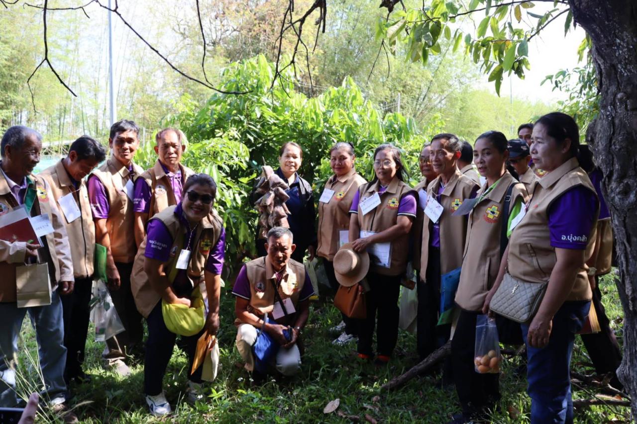 ภาพประกอบที่ 12