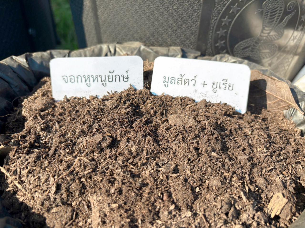 ภาพประกอบที่ 22