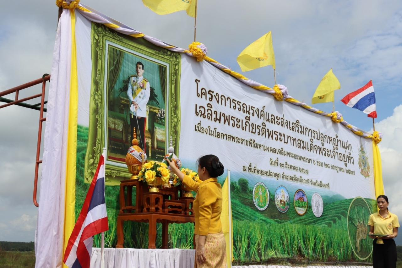 ภาพประกอบที่ 1