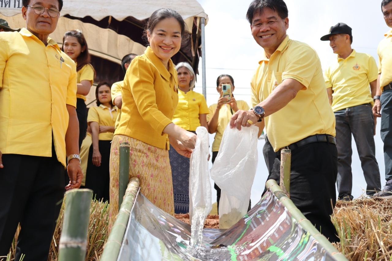 ภาพประกอบที่ 8