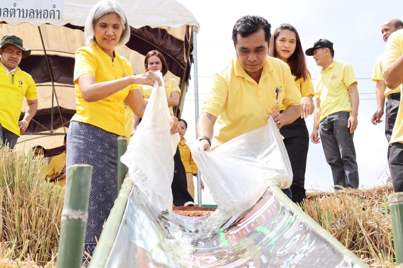 ภาพประกอบที่ 9