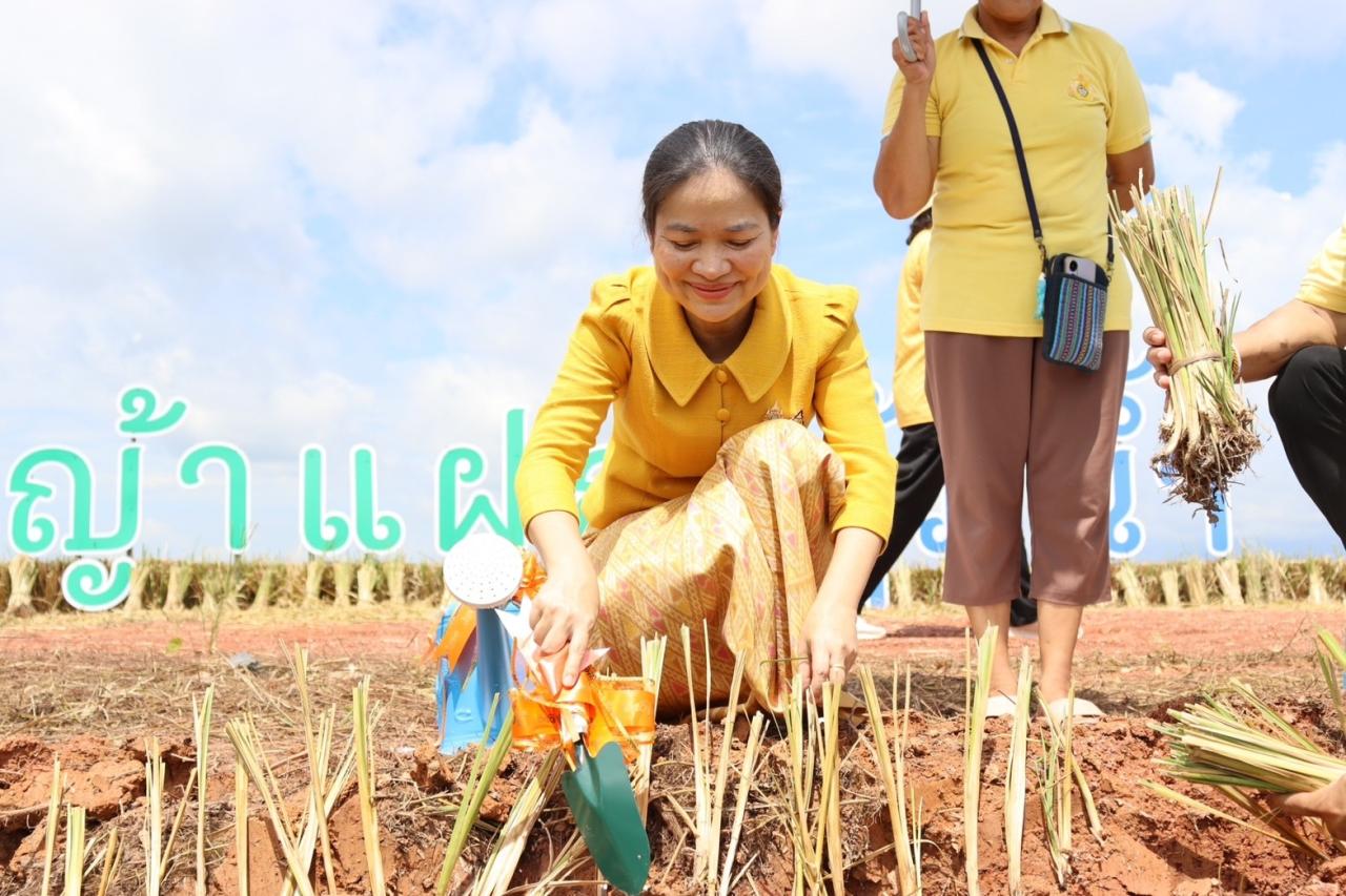 ภาพประกอบที่ 11